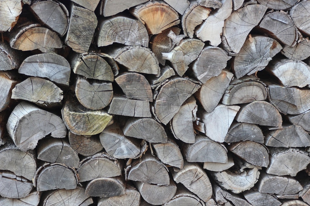 Holzstapel - Holz als Rohstoff für nachhaltige Unterwäsche