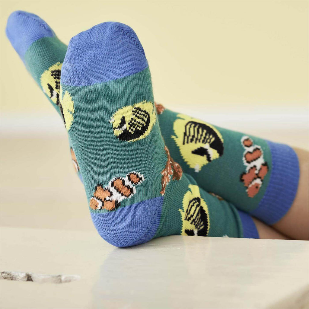 nachhaltige Kindersocken aus Biobaumwolle in grün, blau und gelb mit Fischen