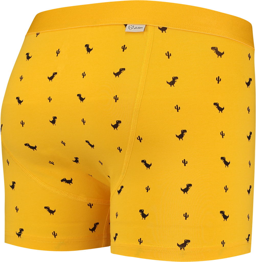 nachhaltige Boxershorts aus Biobaumwolle - gelb mit Chrome Dino - von hinten